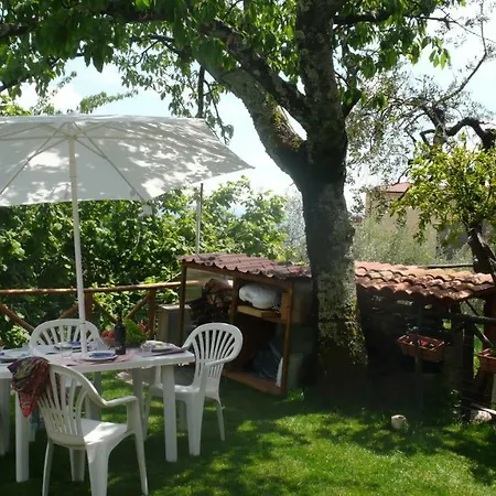 Casa Oliva