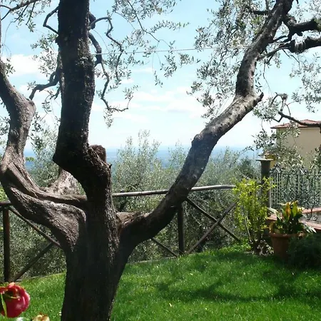 Semesterbostad Casa Oliva *