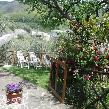 Semesterbostad Casa Oliva *
