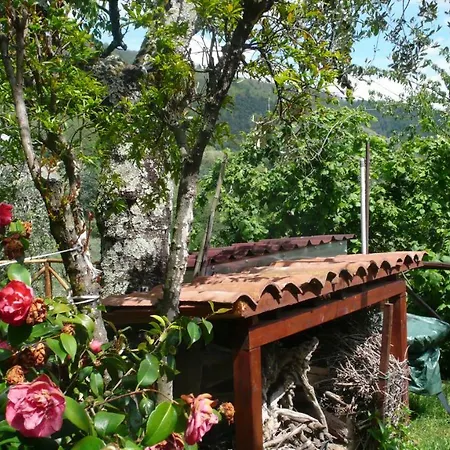 Semesterbostad Casa Oliva Matraia